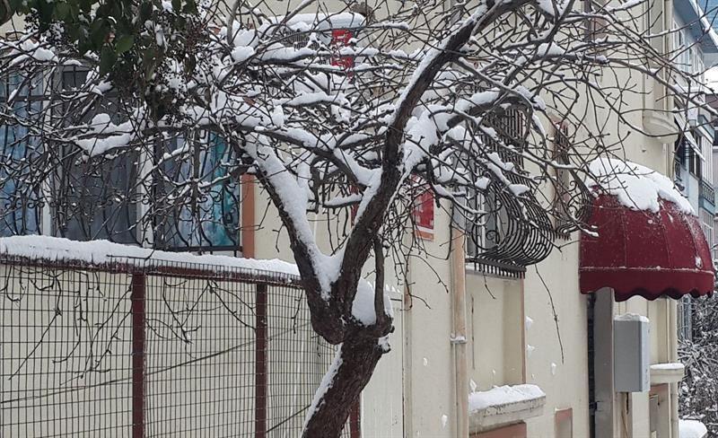 Payidar Hotel Istanbul Exterior photo